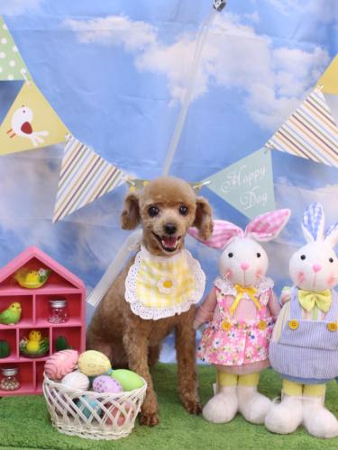 20240327ベルちゃん